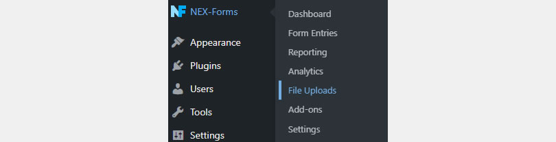 NEX-Forms - Form Entries - Access - Figure - 1